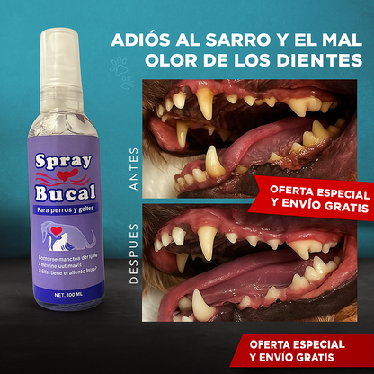 Spray Bucal Para Perros y Gatos 100 ML