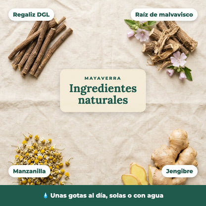 Esófago en Calma MAYAVERRA - ingredientes