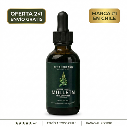 Gotas de Mullein-Gordolobo – Respira Más Libre Cada Día